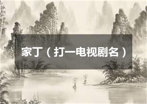 家丁（打一电视剧名）