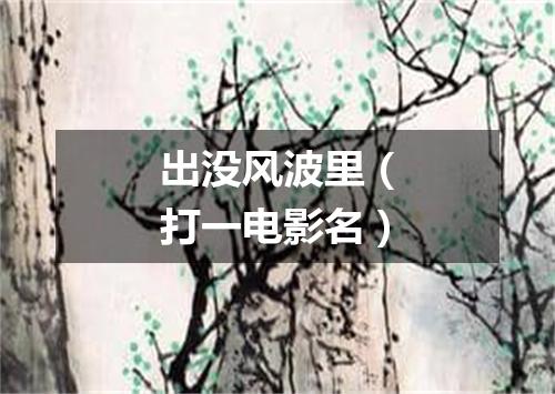 出没风波里（打一电影名）