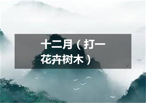 十二月（打一花卉树木）