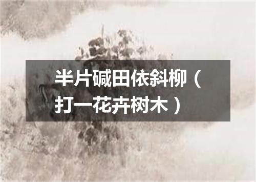 半片碱田依斜柳（打一花卉树木）