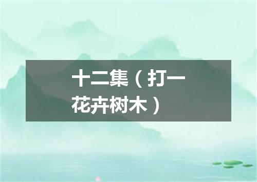 十二集（打一花卉树木）