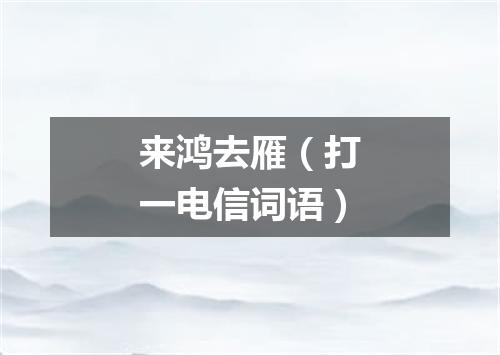 来鸿去雁（打一电信词语）
