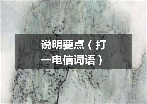 说明要点（打一电信词语）