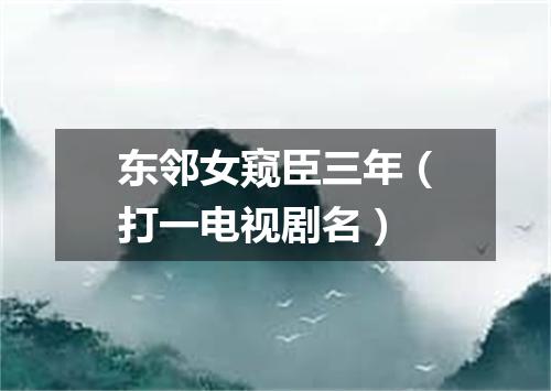 东邻女窥臣三年（打一电视剧名）