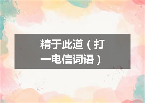 精于此道（打一电信词语）