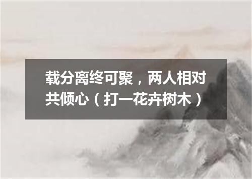 载分离终可聚，两人相对共倾心（打一花卉树木）