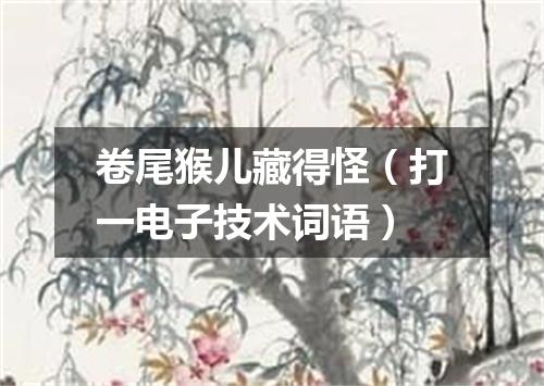 卷尾猴儿藏得怪（打一电子技术词语）