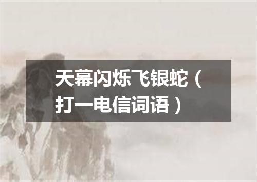 天幕闪烁飞银蛇（打一电信词语）
