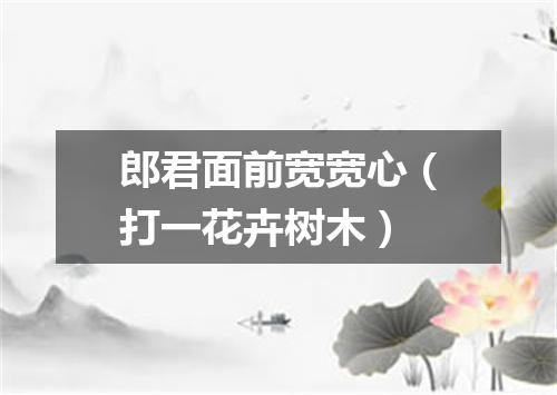 郎君面前宽宽心（打一花卉树木）