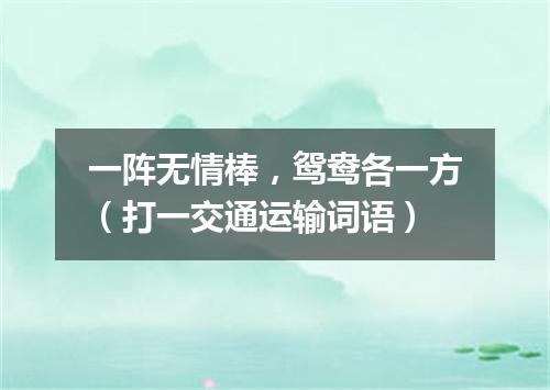 一阵无情棒，鸳鸯各一方（打一交通运输词语）