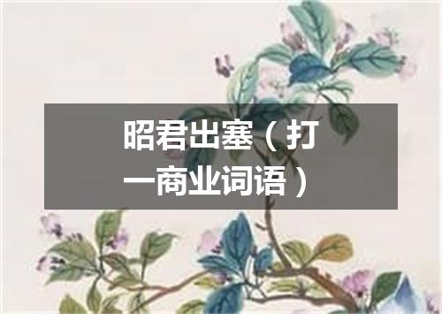 昭君出塞（打一商业词语）
