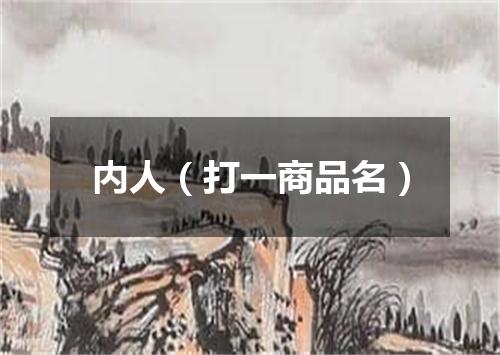 内人（打一商品名）