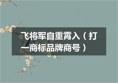 飞将军自重霄入（打一商标品牌商号）