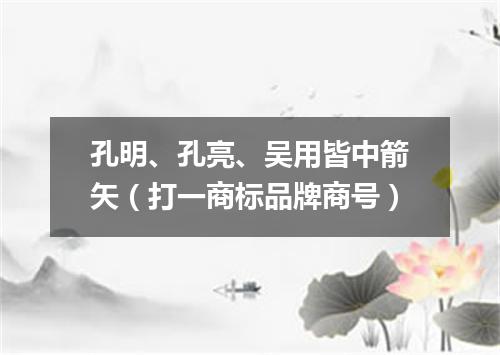 孔明、孔亮、吴用皆中箭矢（打一商标品牌商号）