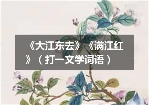 《大江东去》《满江红》（打一文学词语）