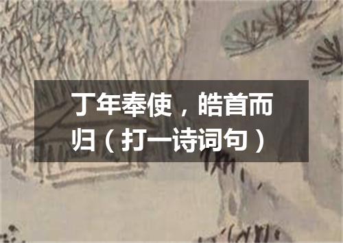 丁年奉使，皓首而归（打一诗词句）