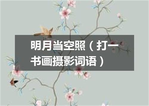 明月当空照（打一书画摄影词语）