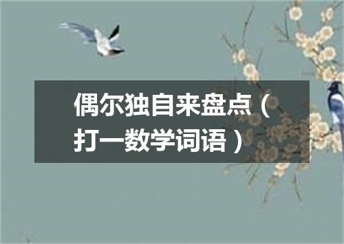 偶尔独自来盘点（打一数学词语）