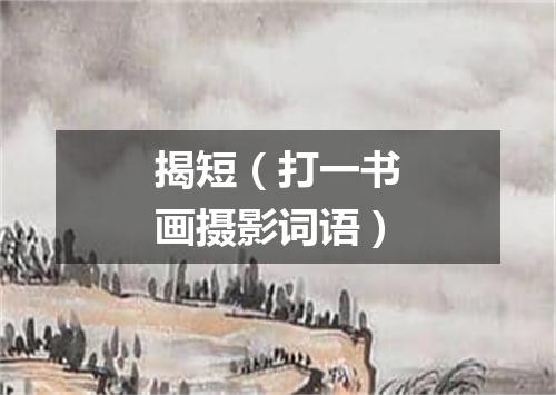揭短（打一书画摄影词语）