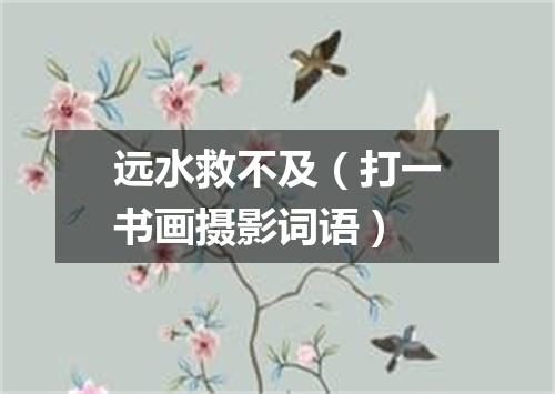 远水救不及（打一书画摄影词语）