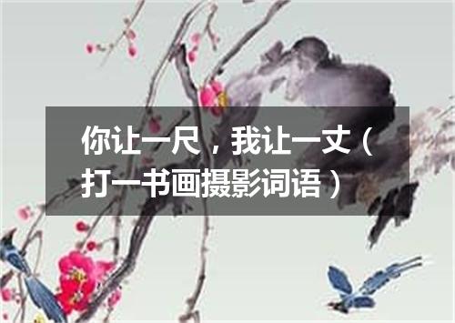 你让一尺，我让一丈（打一书画摄影词语）