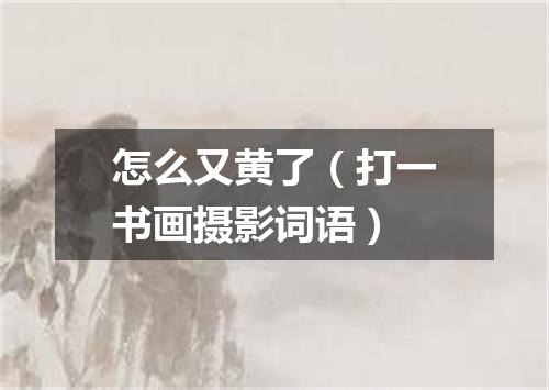 怎么又黄了（打一书画摄影词语）
