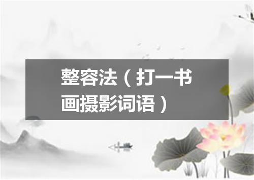 整容法（打一书画摄影词语）