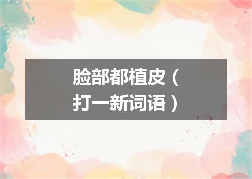 脸部都植皮（打一新词语）