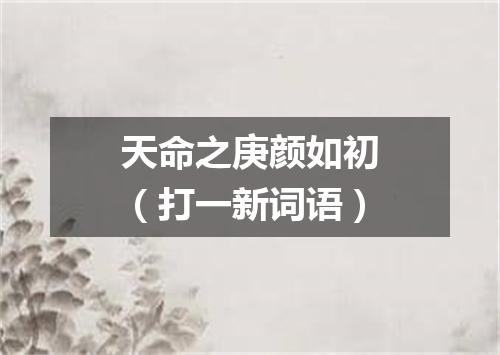 天命之庚颜如初（打一新词语）