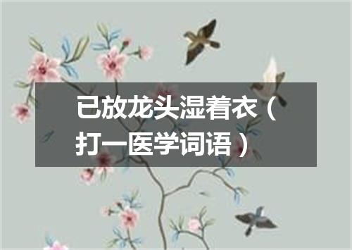 已放龙头湿着衣（打一医学词语）