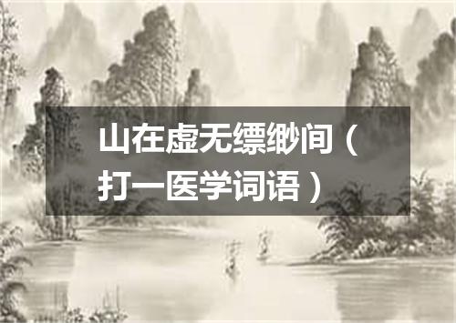 山在虚无缥缈间（打一医学词语）