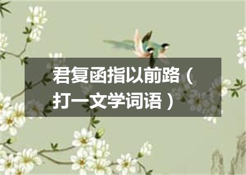 君复函指以前路（打一文学词语）