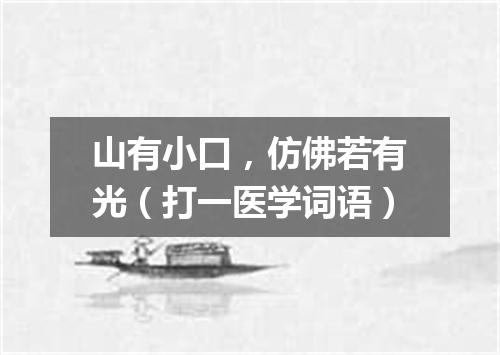 山有小口，仿佛若有光（打一医学词语）