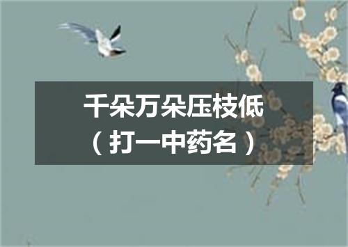 千朵万朵压枝低（打一中药名）