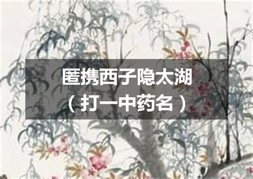 匿携西子隐太湖（打一中药名）