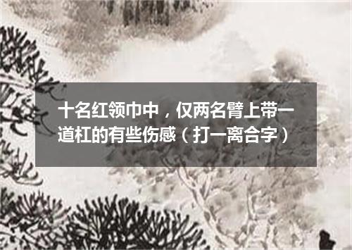 十名红领巾中，仅两名臂上带一道杠的有些伤感（打一离合字）