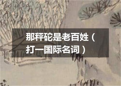 那秤砣是老百姓（打一国际名词）
