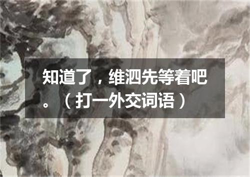 知道了，维泗先等着吧。（打一外交词语）