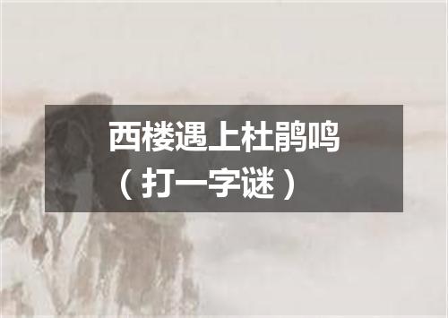 西楼遇上杜鹃鸣（打一字谜）