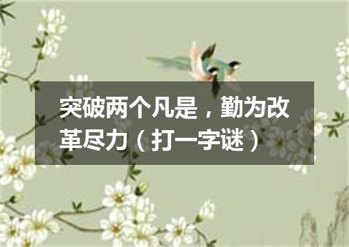 突破两个凡是，勤为改革尽力（打一字谜）