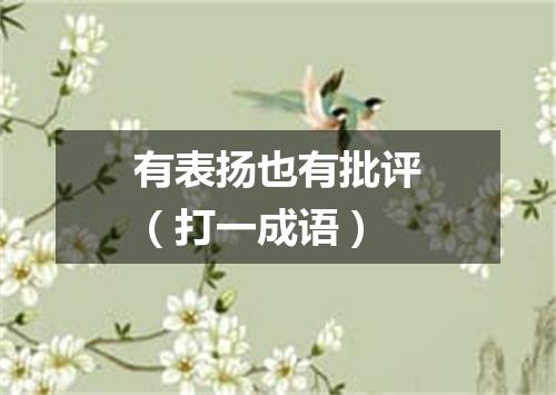 有表扬也有批评（打一成语）