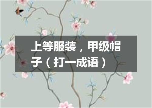 上等服装，甲级帽子（打一成语）
