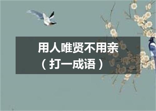 用人唯贤不用亲（打一成语）