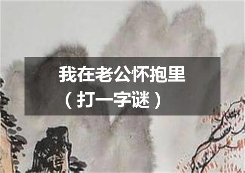 我在老公怀抱里（打一字谜）