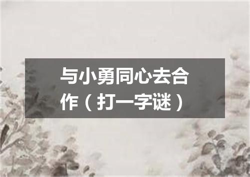 与小勇同心去合作（打一字谜）