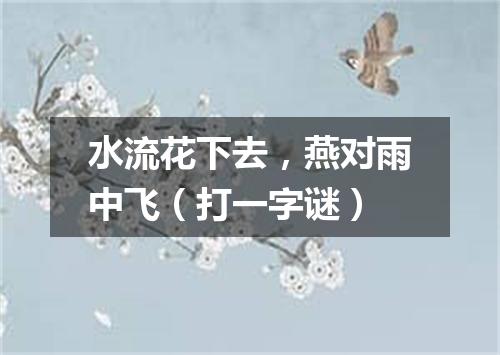 水流花下去，燕对雨中飞（打一字谜）