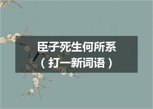 臣子死生何所系（打一新词语）