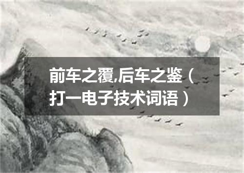 前车之覆,后车之鉴（打一电子技术词语）