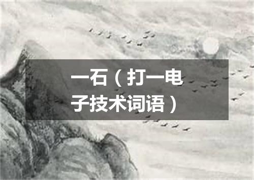 一石（打一电子技术词语）