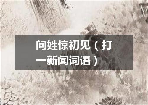 问姓惊初见（打一新闻词语）